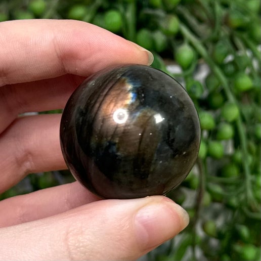 Labradorite Sphere (920A)