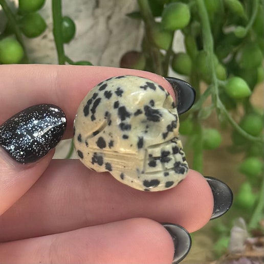 Dalmatian Jasper Mini Skull