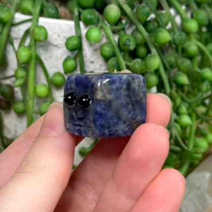 Sodalite Pet Rock