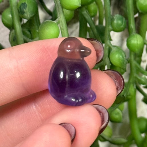 Fluorite Mini Penguin