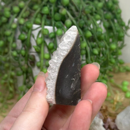 Apophyllite / Sphalerite Point (K313)