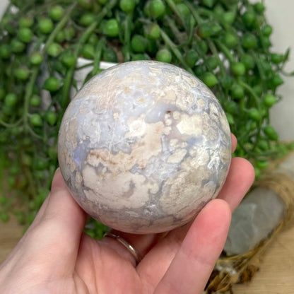 Blue Flower Agate Sphere (H257)