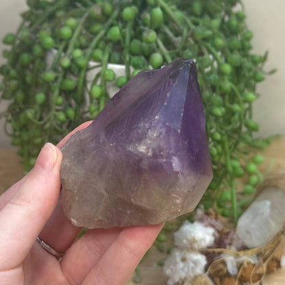 Amethyst Root (J730)