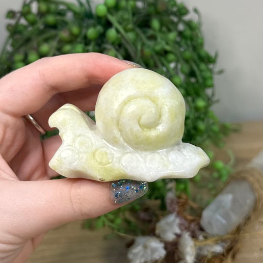 Yellow Jade Snail (F993)