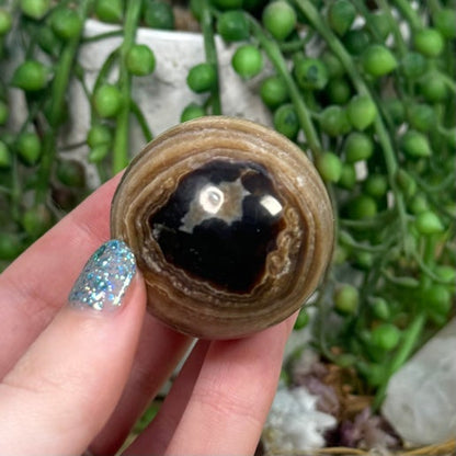 Chocolate Calcite Sphere (D630)