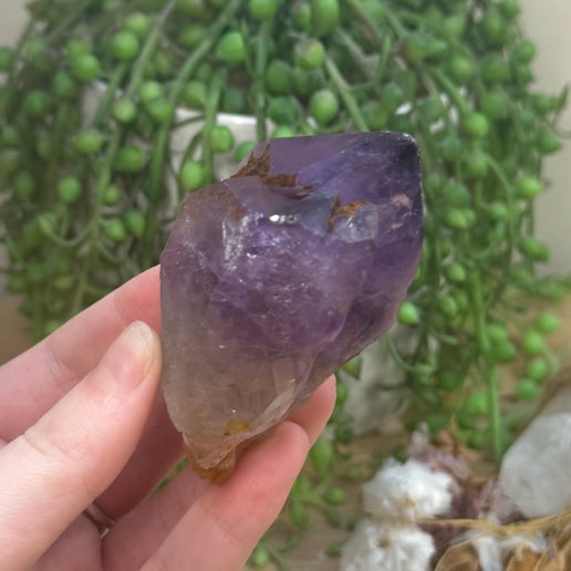 Amethyst Root (J737)