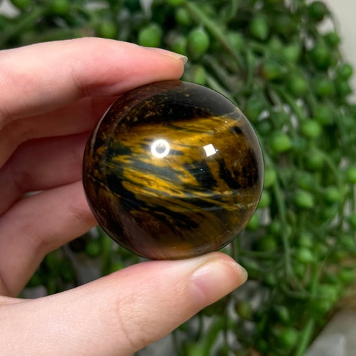 Tiger Eye Sphere (J762)