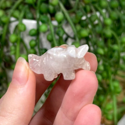 Flower Agate Small Triceratops