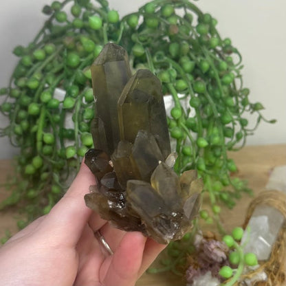 Smokey Quartz Cluster (L865)