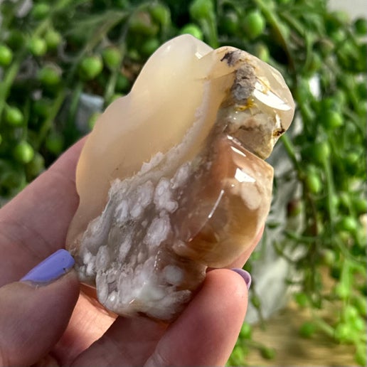 Flower Agate Flower (C970)