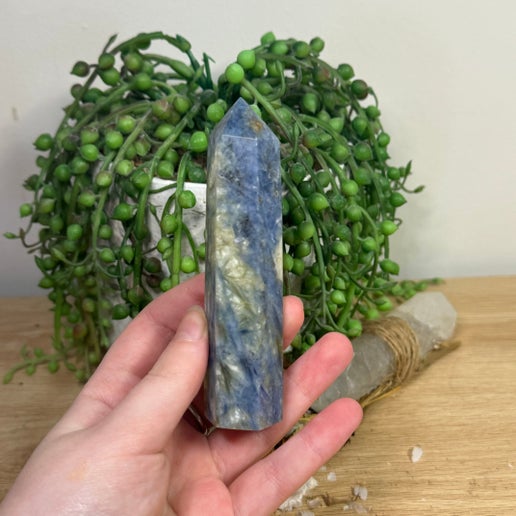 Blue Kyanite Point (L539)