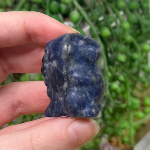 Sodalite Chubby Dino (H911)