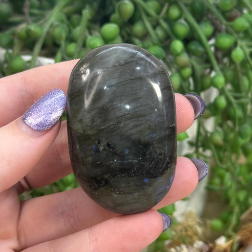 Labradorite Palm Stone (D232)