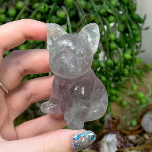 Rainbow Fluorite French Bulldog (L4)