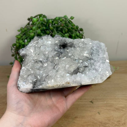 Apophyllite Cluster (K286)