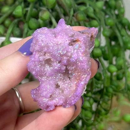 Purple Aura Quartz Geode (K899)