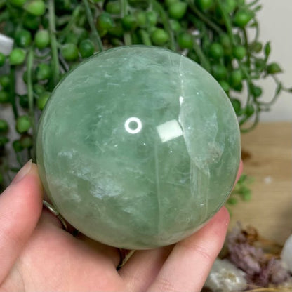 Green Fluorite Sphere (L810)