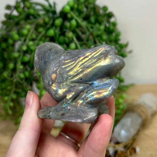 Labradorite Bird (J572)