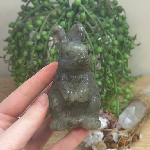 Labradorite Bunny (J902)