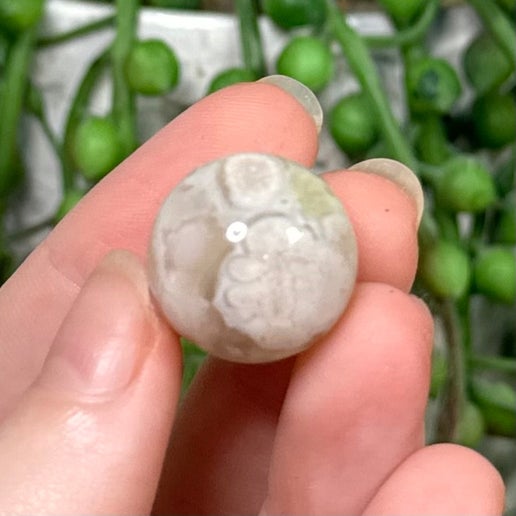 Green Flower Agate Mini Sphere