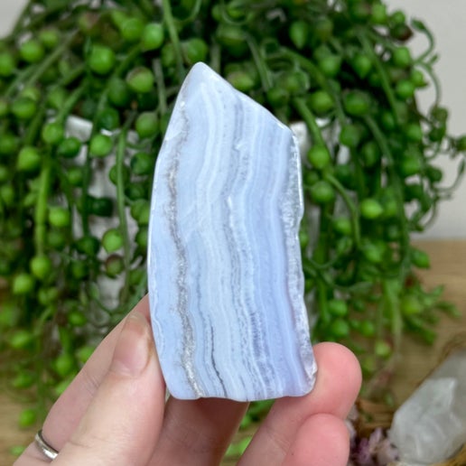 Blue Lace Agate Slice (M64)