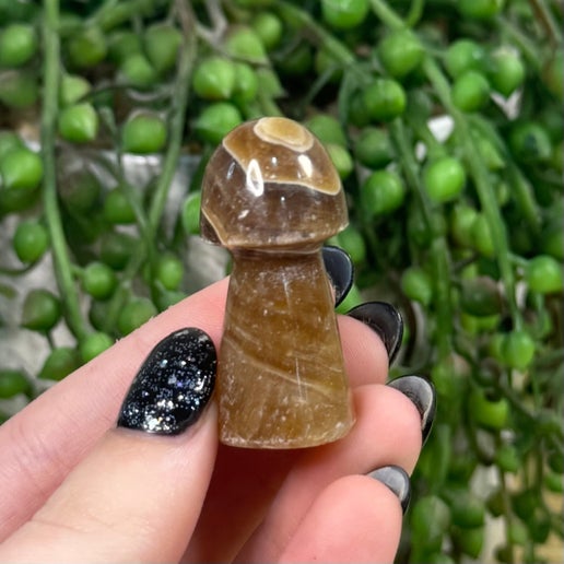 Brown Calcite Medium Mushrooms