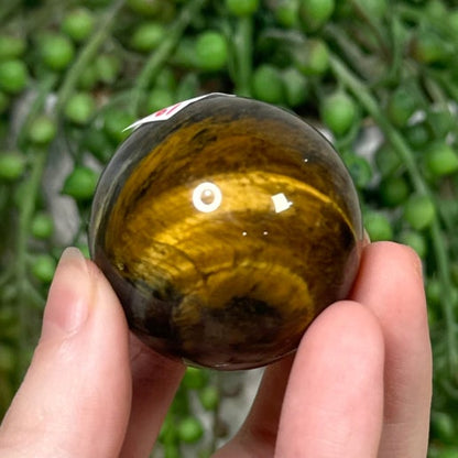 Tiger Eye Sphere (J761)