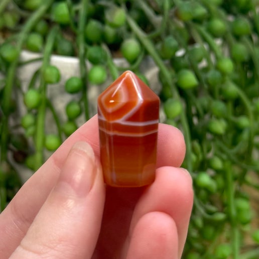 Sardonyx Small Chunky Point