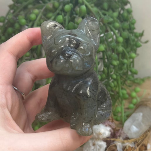 Labradorite French Bulldog (J895)