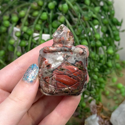 Ocean Jasper Turtle (C268)