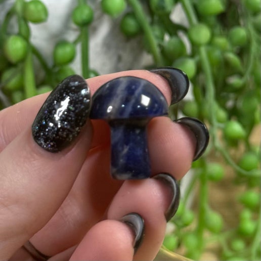 Sodalite Mini Mushroom