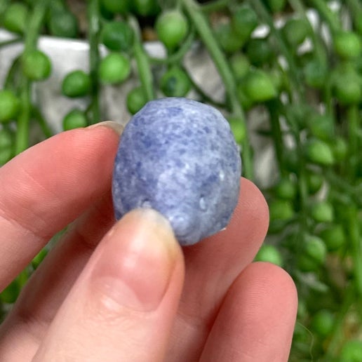 Blue Aventurine Hedgehog (E768)