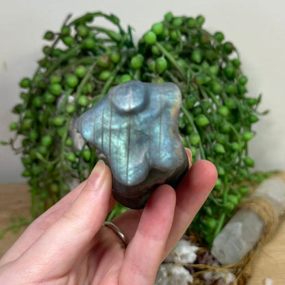 Labradorite Body (H545)