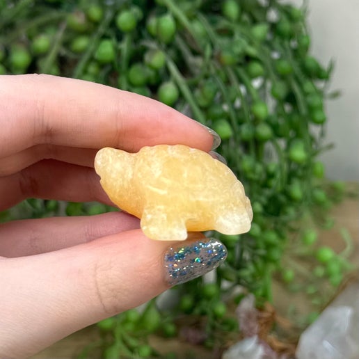 Yellow Calcite Turtle (C555)