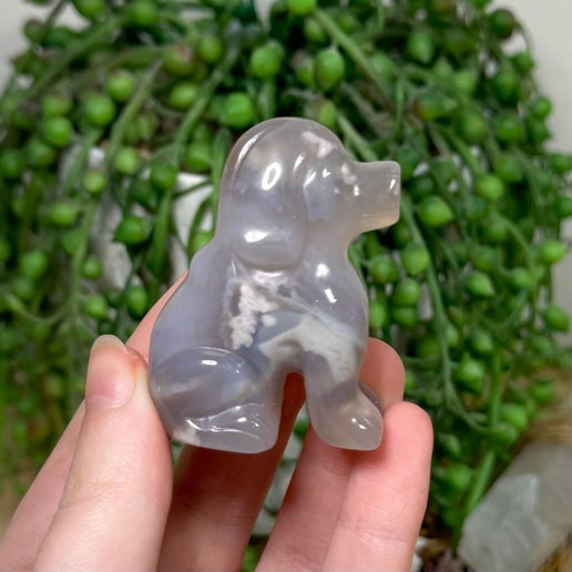 Flower Agate Dog (L417)
