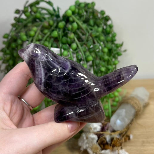 Dream Amethyst Bird (J571)