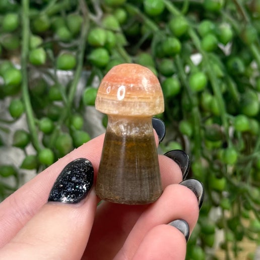 Brown Aragonite Medium Mushrooms