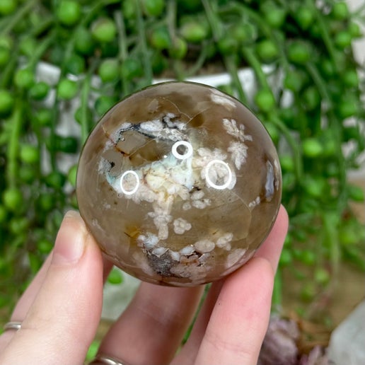 Black Flower Agate Sphere (M81)