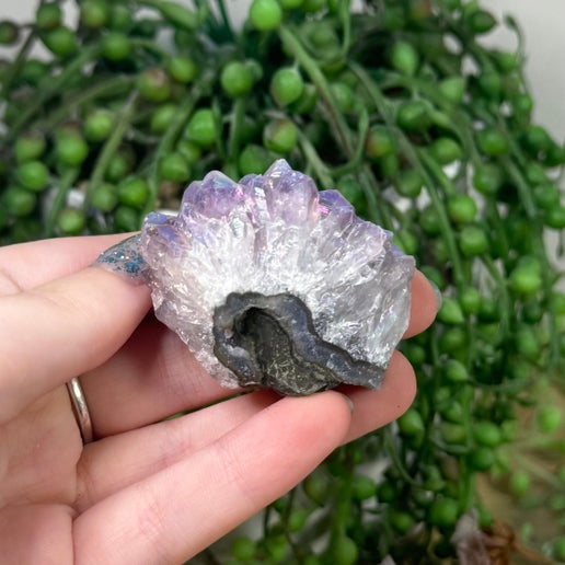 Aura Amethyst Cluster (K955)