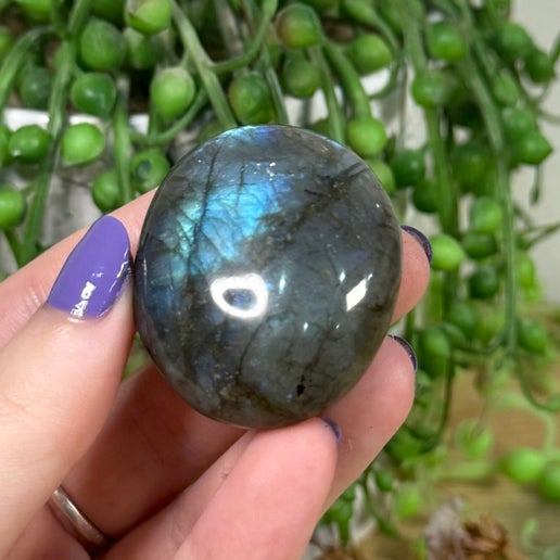 Labradorite Palm Stone (K863)