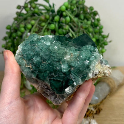 Green Cubic Fluorite Cluster (L380)