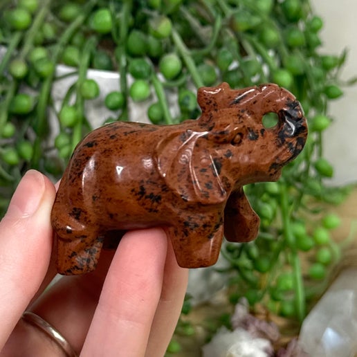 Mahogany Obsidian Elephant (I868)