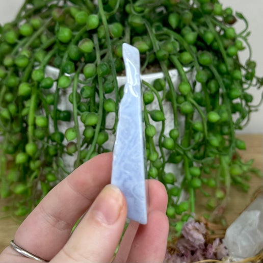 Blue Lace Agate Slice (M64)