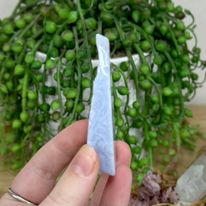 Blue Lace Agate Slice (M64)