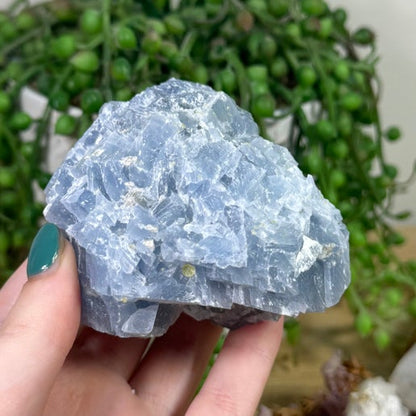 Blue Celestite Cluster (K155)