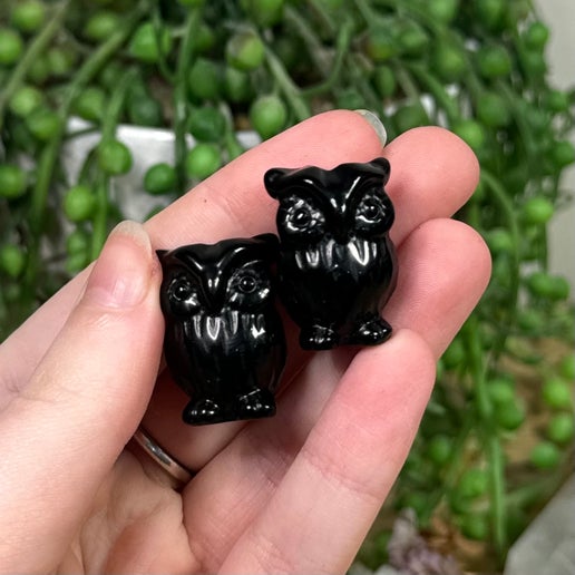 Black Obsidian Small Owl