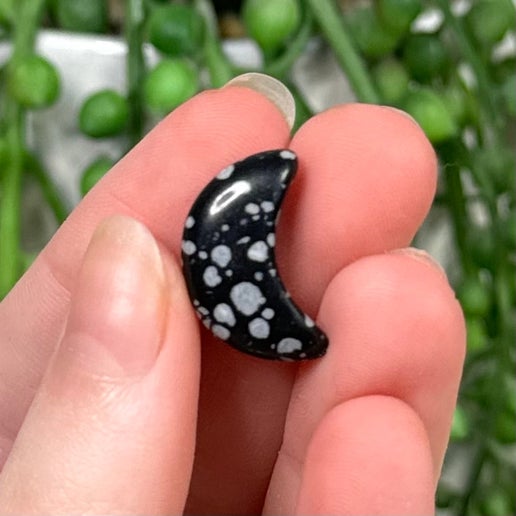 Snowflake Obsidian Tiny Moon