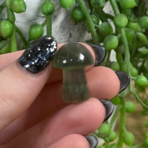 Green Fluorite Mini Mushroom