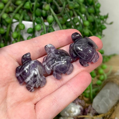 Dream Amethyst Mini Turtle