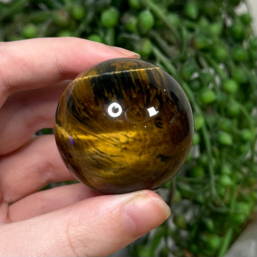 Tiger Eye Sphere (J763)